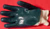 NID0200.jpg (26781 bytes)